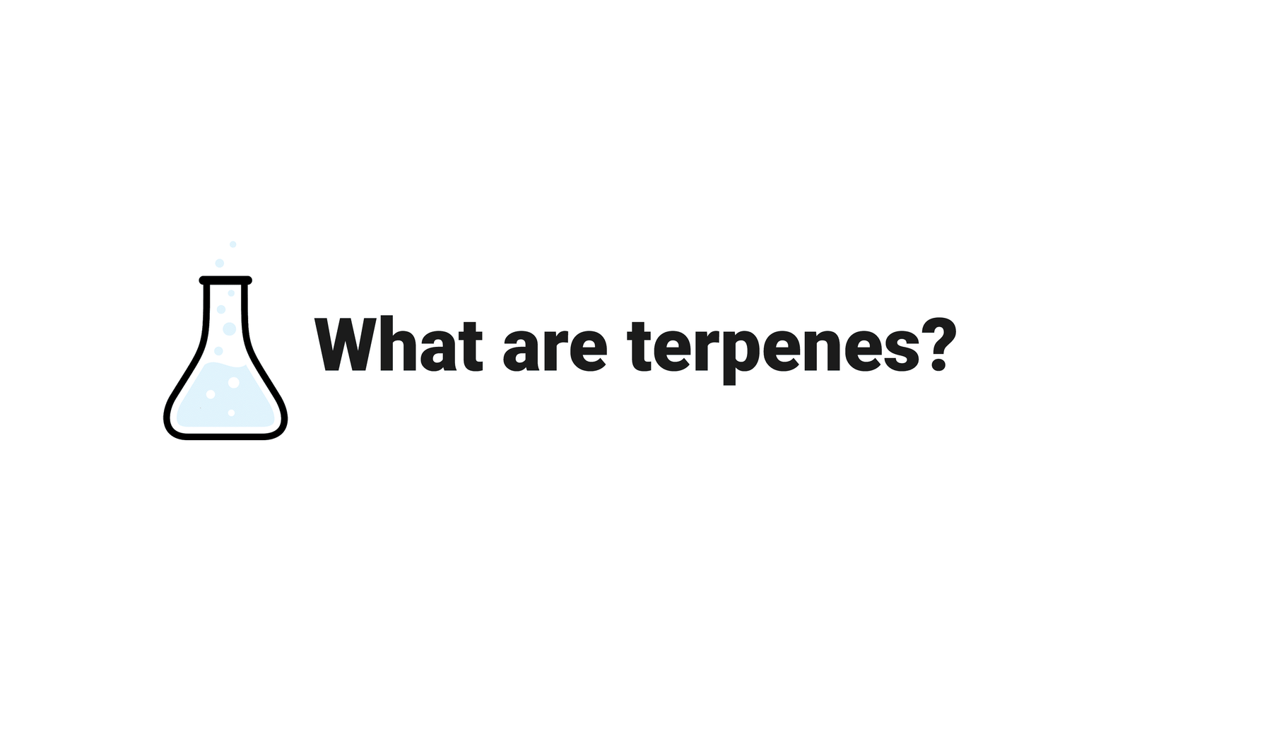What are terpenes?