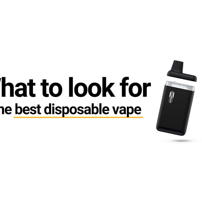What To Look For in the Best Cannabis Disposable Vape